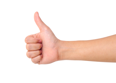 Major food companies have approved Bioenergy Ribose