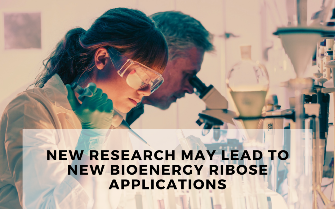 New research may lead to new Bioenergy Ribose applications